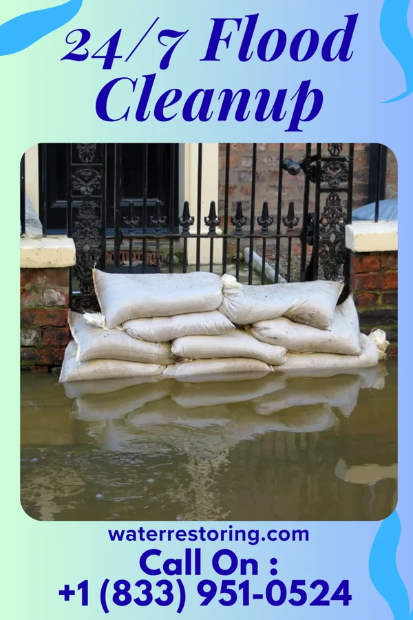 24/7 Flood Cleanup in Gosnell, AR