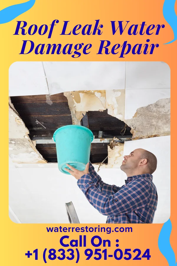 Roof Leak Water Damage Repair in Gosnell, AR
