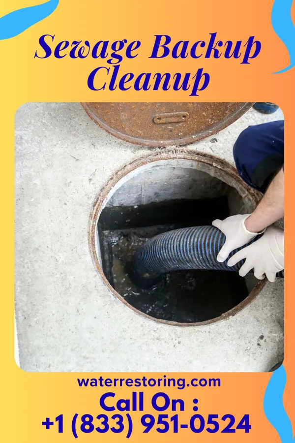 Sewage Backup Cleanup in Gosnell, AR